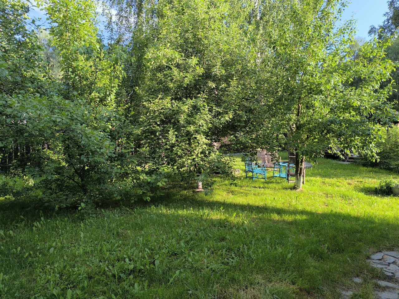 Кедровый дом на острове Катуни, терраса, баня